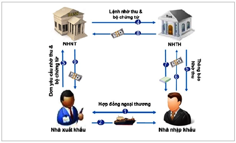 Phương Thức Thanh Toán D/P Là Gì? Quy Trình Thanh Toán D/P - ACC ...