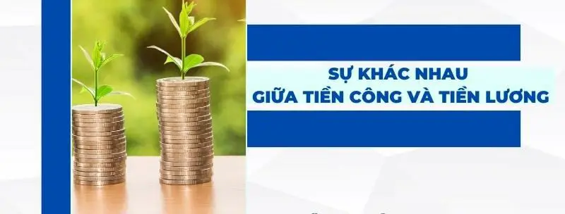 Sự khác nhau giữa tiền công và tiền lương