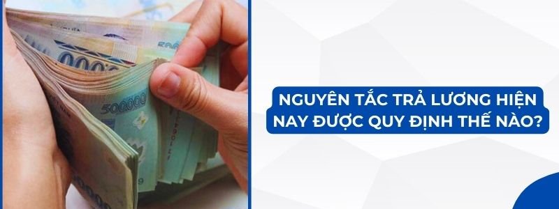 Nguyên tắc trả lương hiện nay được quy định thế nào?