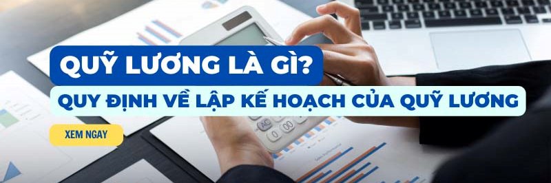 quy luong la gi; quy dinh ve lap ke hoach cua quy luong