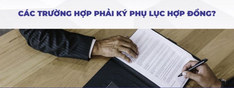 Các trường hợp phải lý phụ lục hợp đồng