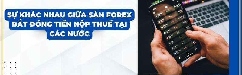 Sự khác nhau giữa sàn Forex bắt đóng tiền nộp thuế tại các nước